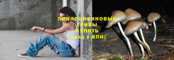 соль ск Балабаново