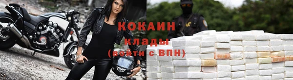 гашик Балахна