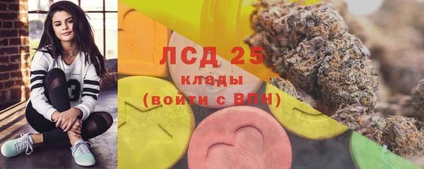 крисы Беломорск